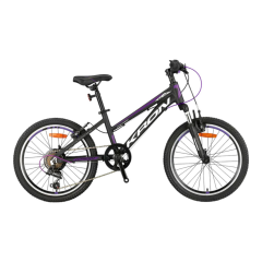 XC75 - 24'' MTB LADY - 13 - 21 VİTES - V.B - MAT SİYAH - GRİ/MOR #KRN24-012