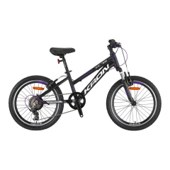 XC75 - 20'' MTB LADY - 11 - 7 VİTES - V.B - MAT SİYAH - GRİ/MOR #KRN24-008